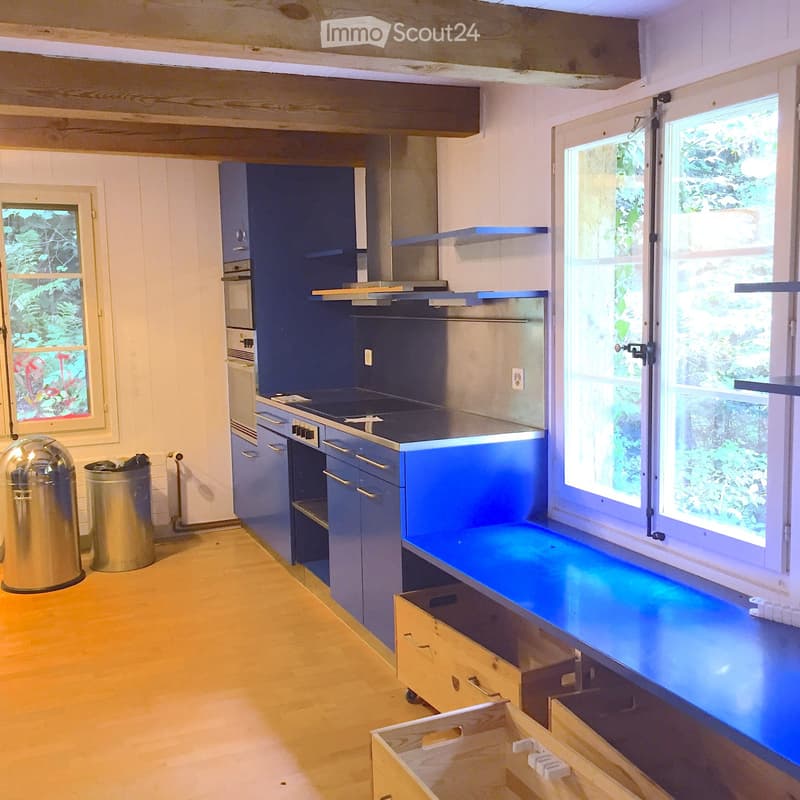 Charmanter 4.5-Zimmer-Bauernhausteil in Lüterswil (4)