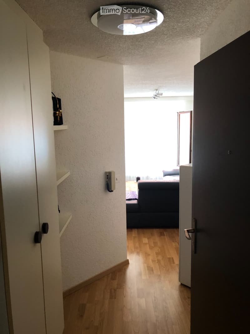 Schöne 1.5 Zi. Whg (2)