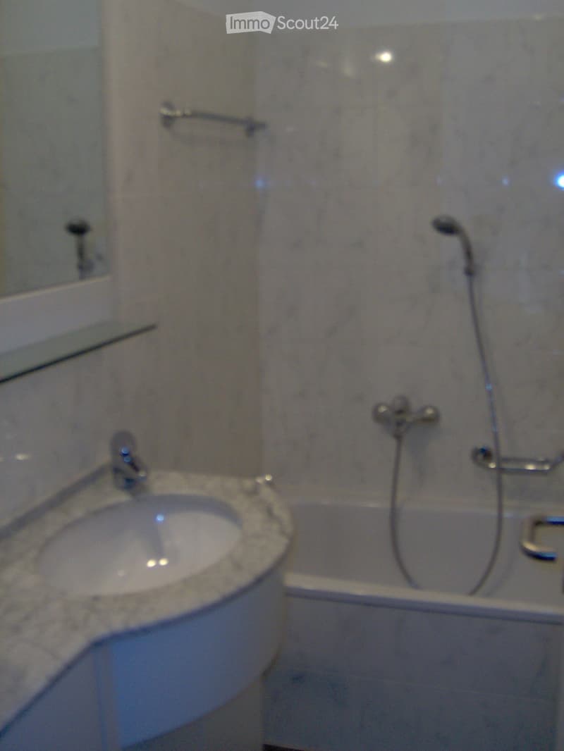 Massagno - affittasi 4.5 locali al PT con grande giardino (3)