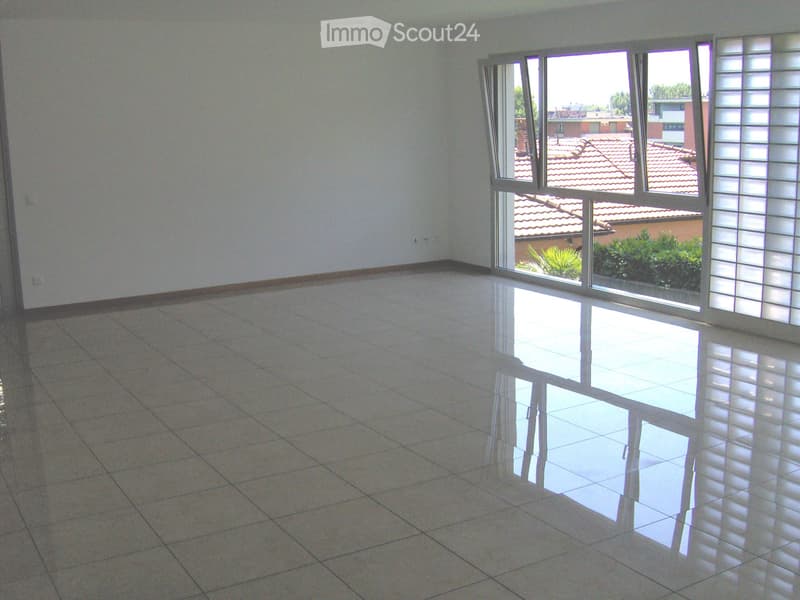 Massagno - affittasi 4.5 locali al PT con grande giardino (5)