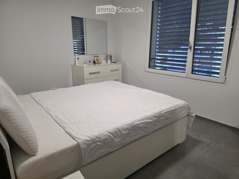 Cercasi subentrante appartamento 2.5 locali a S. Antonino (2)