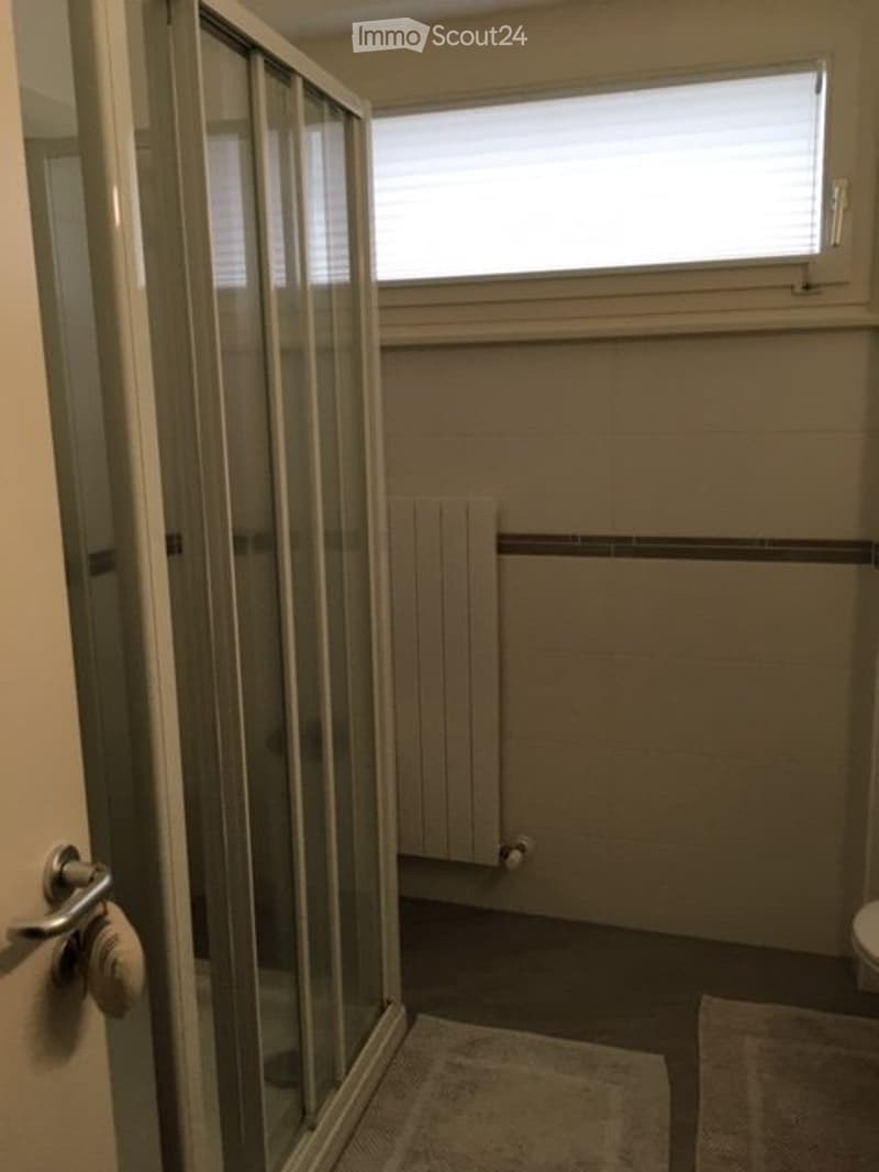 Affittasi appartamento 3 locali Bellinzona-Ravecchia (7)