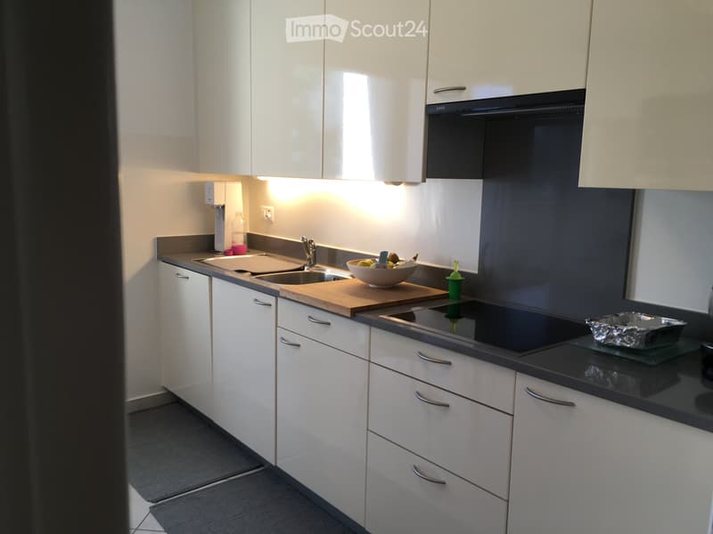 Affittasi appartamento 3 locali Bellinzona-Ravecchia (4)