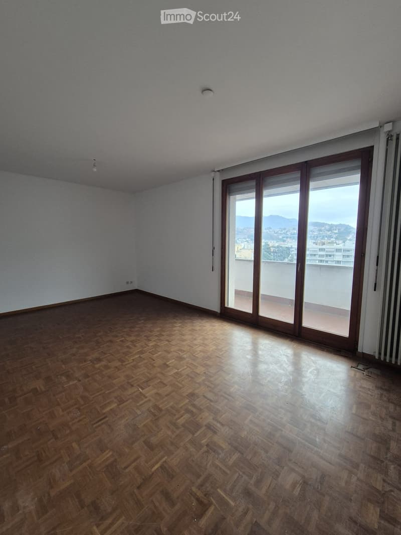 Ampio appartamento di 7 locali (2)
