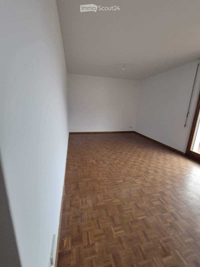 Ampio appartamento di 7 locali (5)