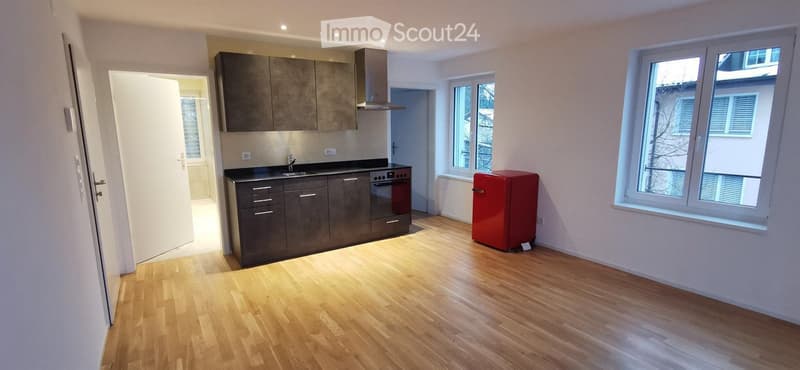 Neue 2-Zimmer-Wohnung in St. Gallen; ab Dezember oder 1.1.27 (1)