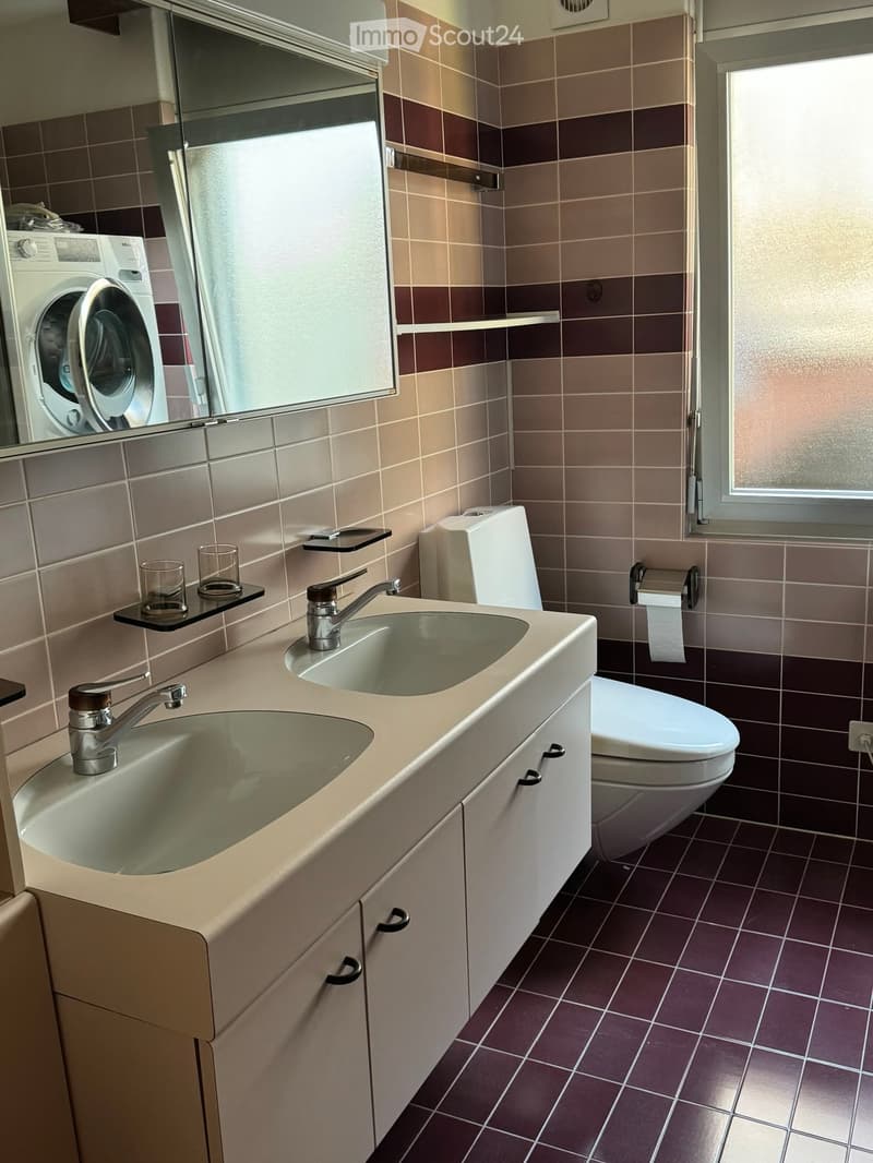 4.5 Locali Ronco S/Ascona (3)