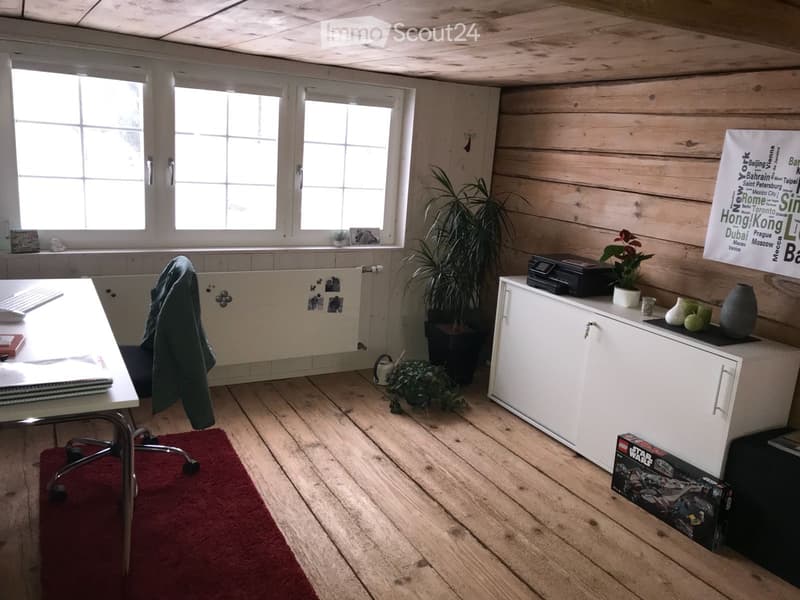 Schönes Haus (3)