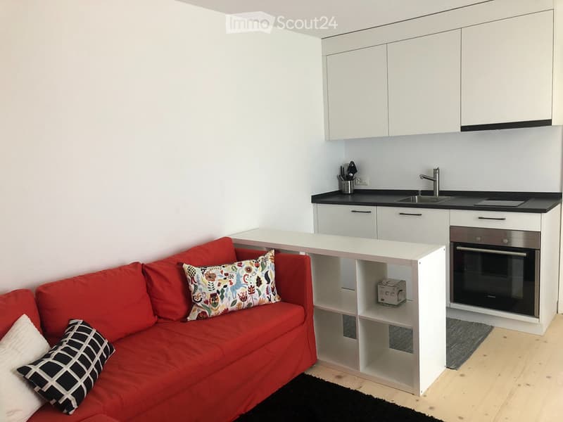 möblierte 2 Zimmerwohnung in alleinstehendem Ferienhaus (3)