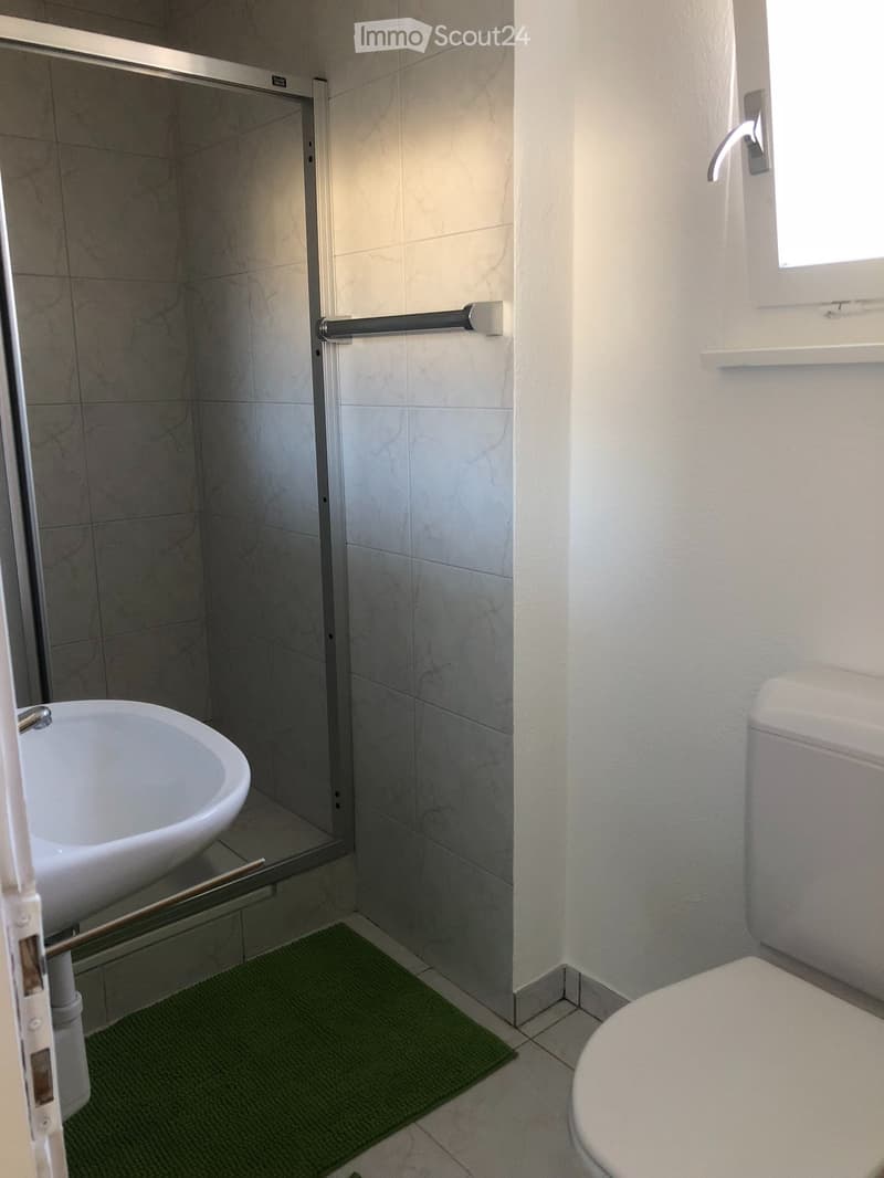möblierte 2 Zimmerwohnung in alleinstehendem Ferienhaus (4)