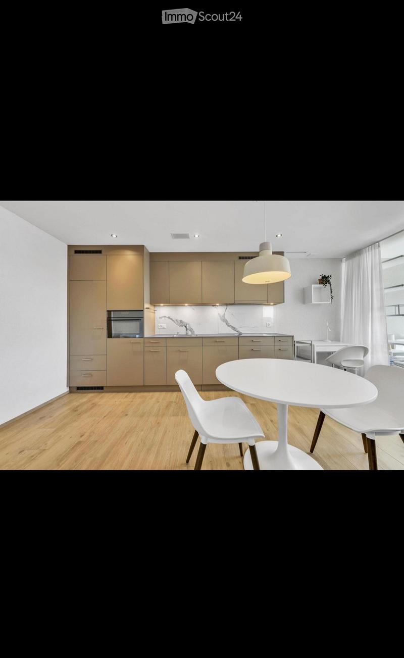 Möblierte 1,5 Zimmerwohnung inkl. Einstellplatz (2)
