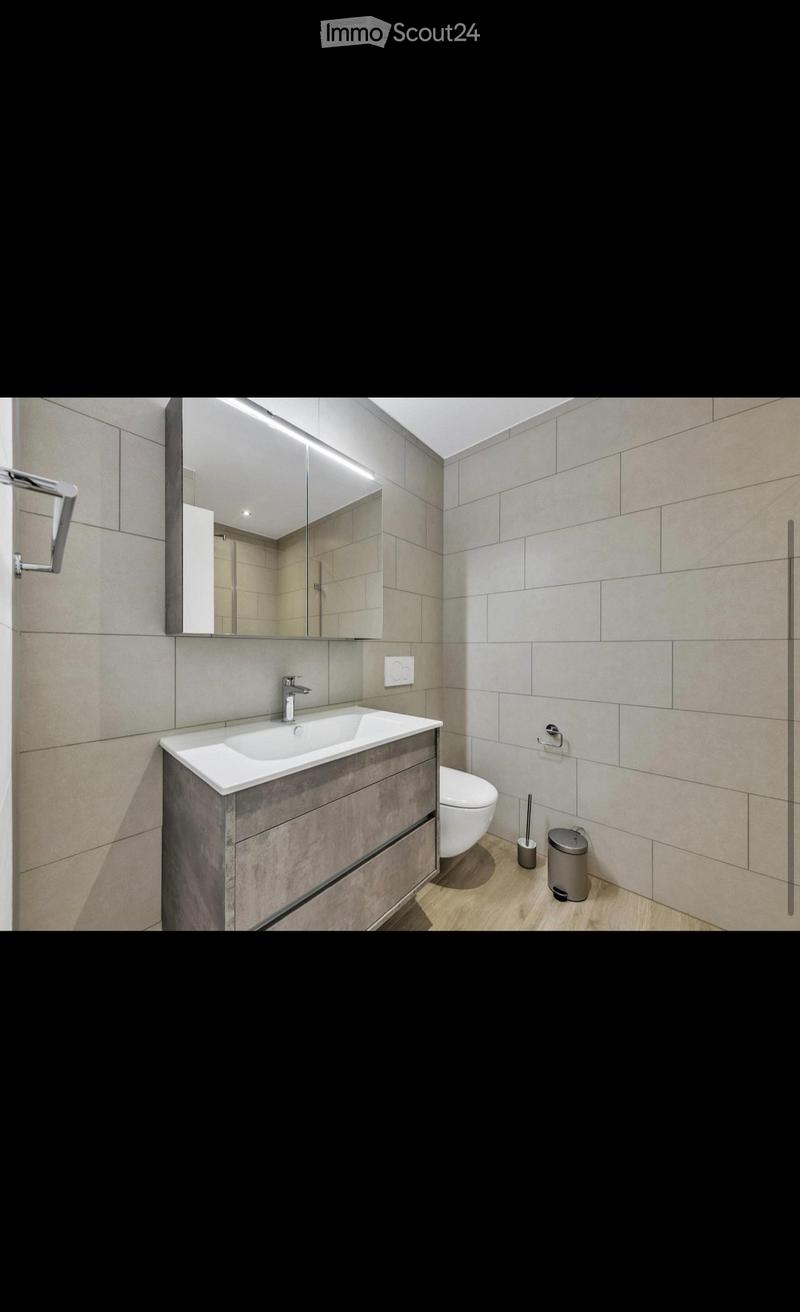 Möblierte 1,5 Zimmerwohnung inkl. Einstellplatz (4)