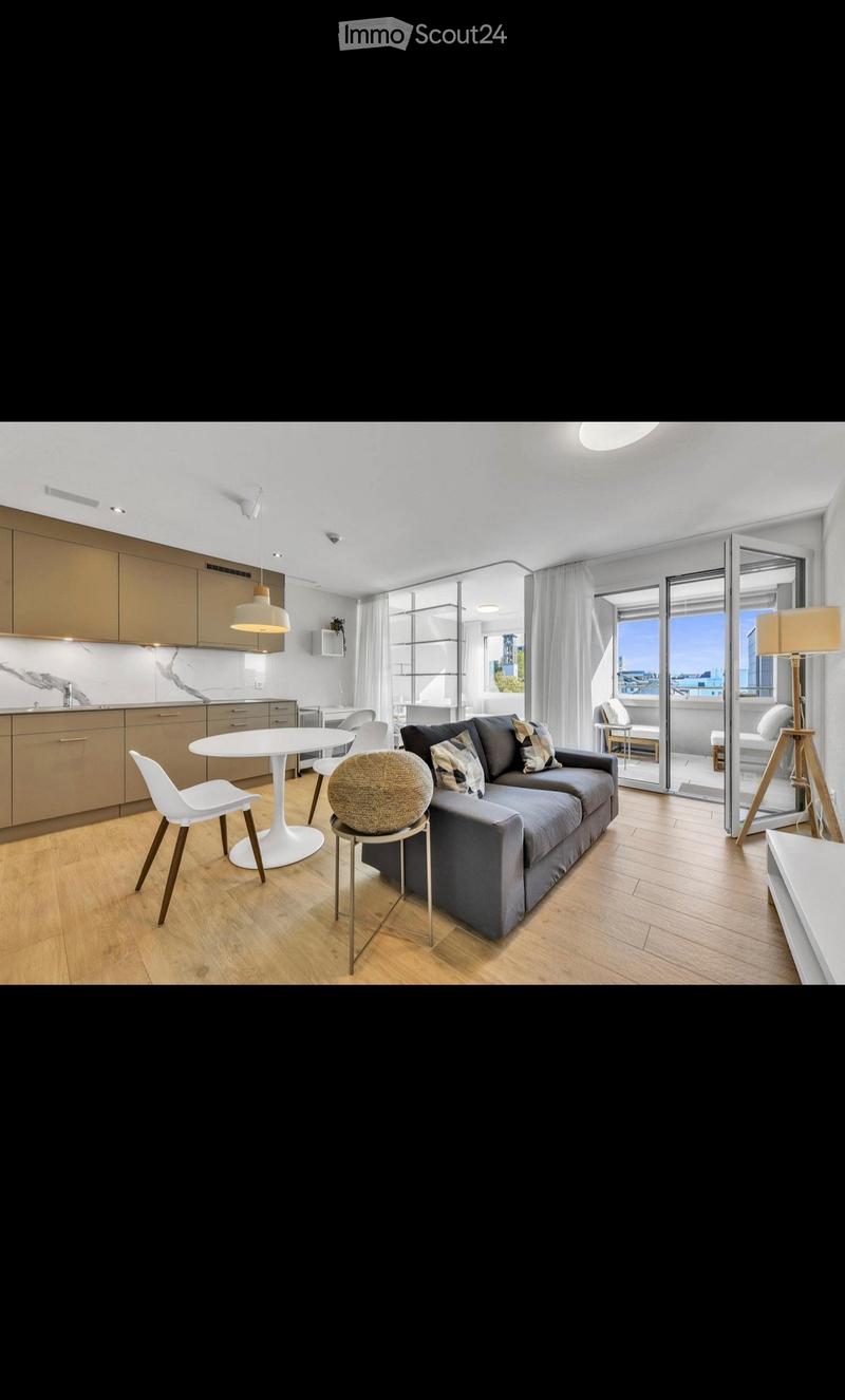 Möblierte 1,5 Zimmerwohnung inkl. Einstellplatz (1)