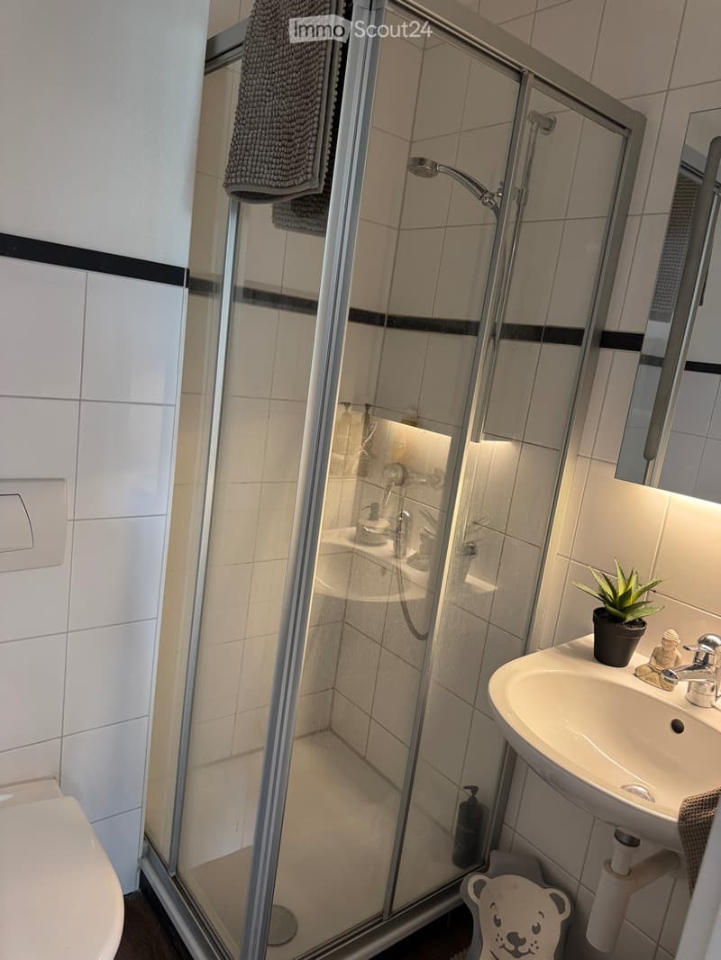 Grosszügige Wohnung mit privatem grossem 80m2 Garten (5)