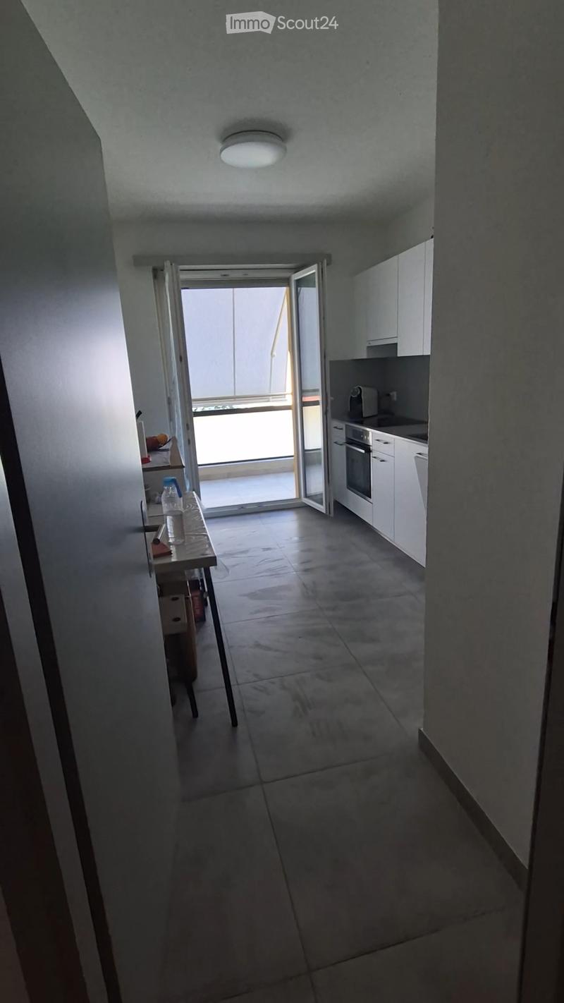 CERCO SUBENTRANTE PER AMPIO 2.5 LOCALI A BELLINZONA (9)