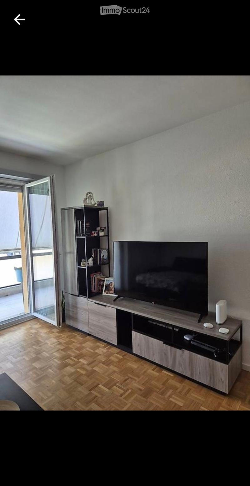 CERCO SUBENTRANTE PER AMPIO 2.5 LOCALI A BELLINZONA (3)