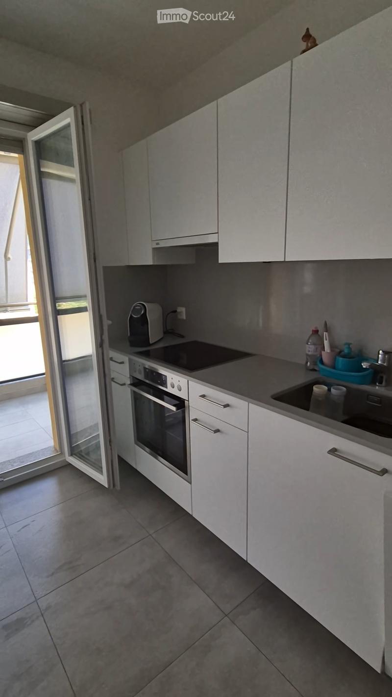 CERCO SUBENTRANTE PER AMPIO 2.5 LOCALI A BELLINZONA (7)