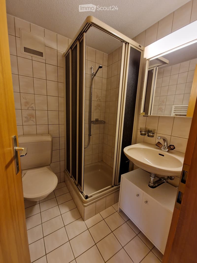 Studio zu vermieten (4)