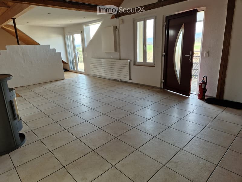 Loft-Dachwohnung Altbau (2)