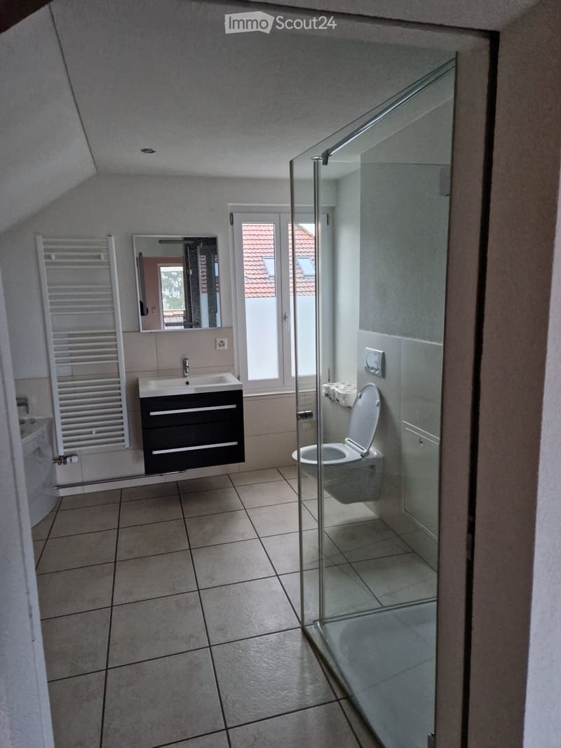 Loft-Dachwohnung Altbau (5)