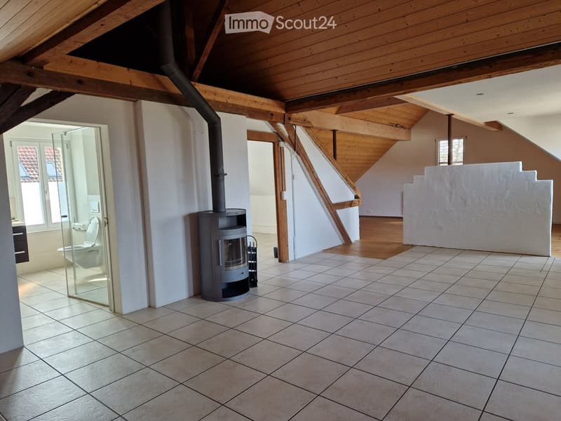 Loft-Dachwohnung Altbau (1)
