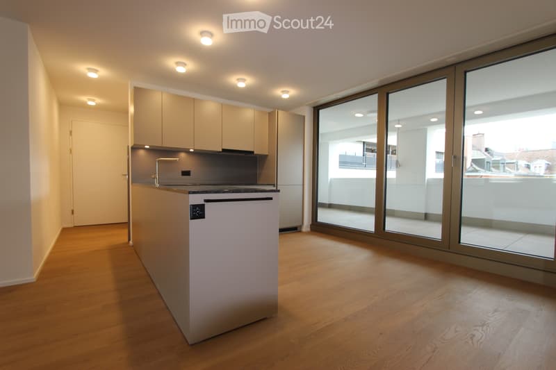 3.5 Zimmer, 82m2 CHF 1725.- (2)