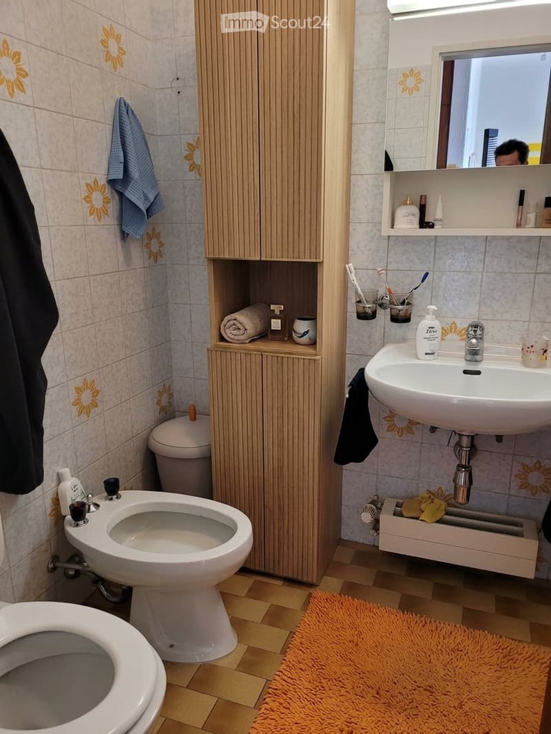 Affittasi 2,5 locali, centro di Minusio con vista lago (5)