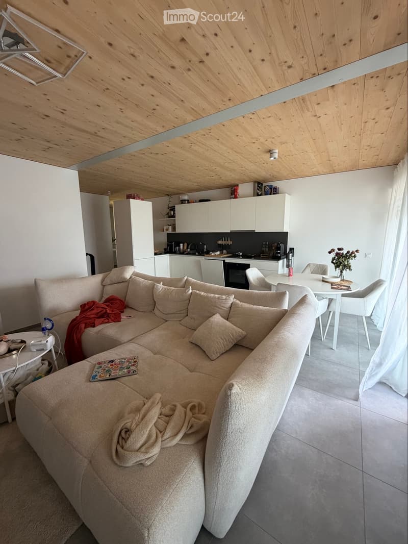 Cerco subentrante Appartamento 2.5 locali a Monte Carasso (2)