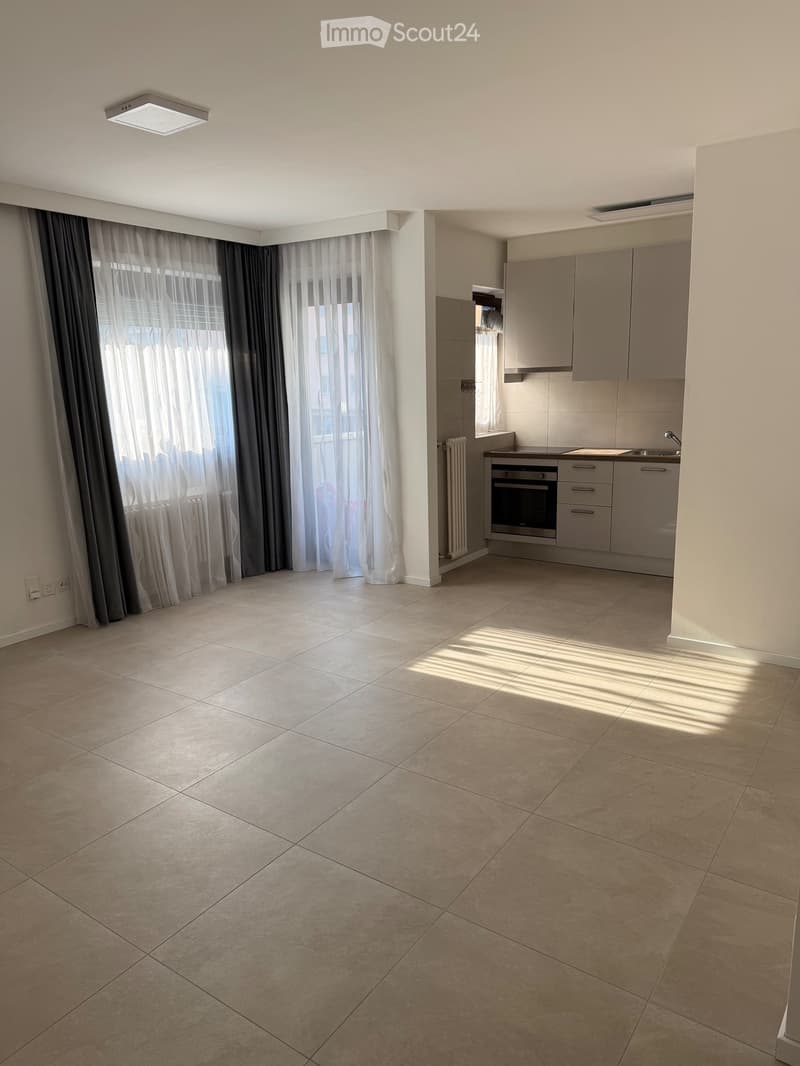 Affittasi appartamento 2.5 locali a Viganello - Lugano (1)