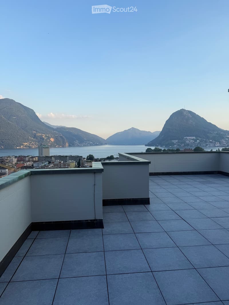 Affittasi appartamento 2.5 locali a Viganello - Lugano (5)