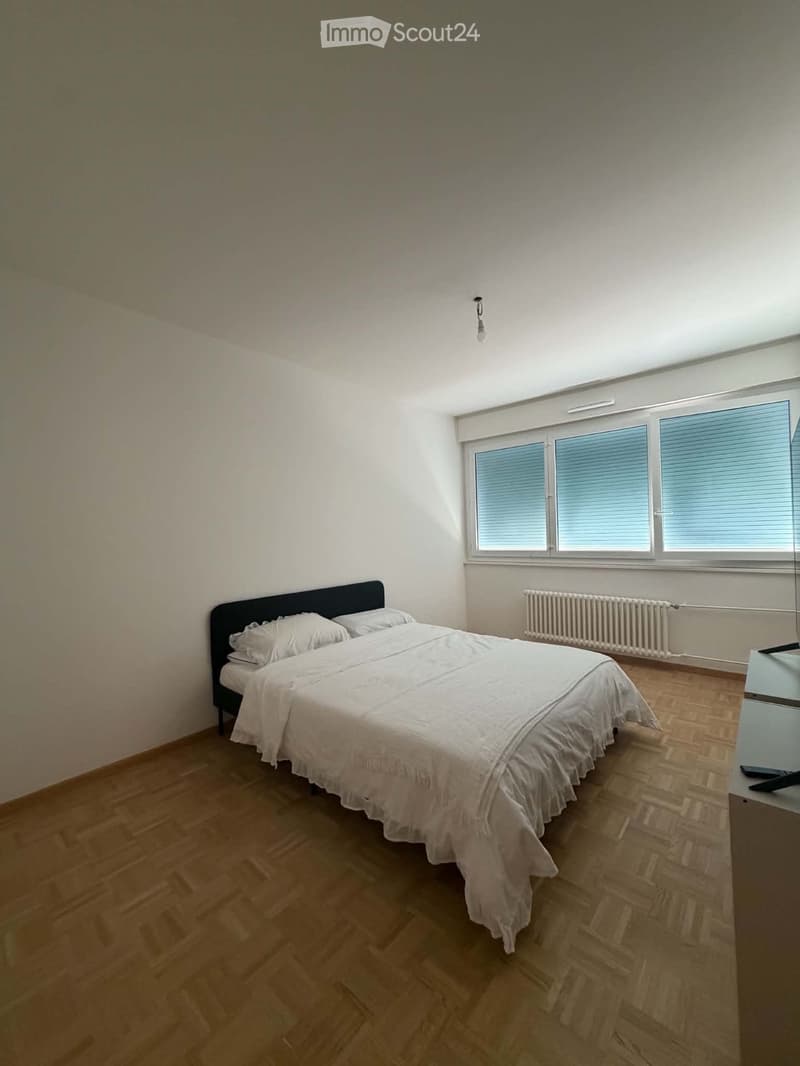 Location, appartement, Versoix (1)