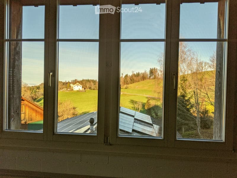 grosse Loft zur Selbstgestaltung .. Leben im Grünen (3)