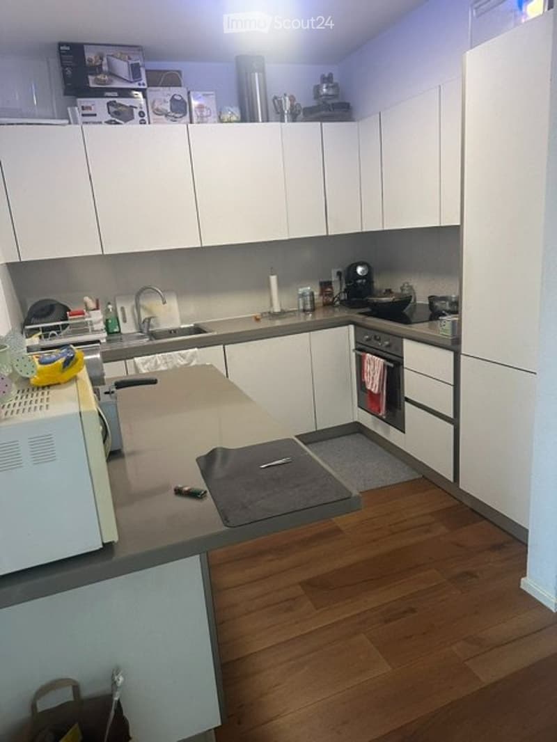 SUBENTRO - AMPIO APPARTAMENTO 3.5 LOCALI A PARADISO (3)