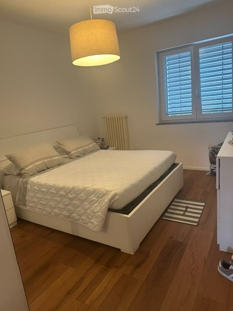 SUBENTRO - AMPIO APPARTAMENTO 3.5 LOCALI A PARADISO (2)