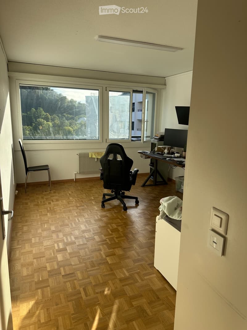 Super Wohnung neben Aare fürs Leben in Bremgarten b. Bern (2)