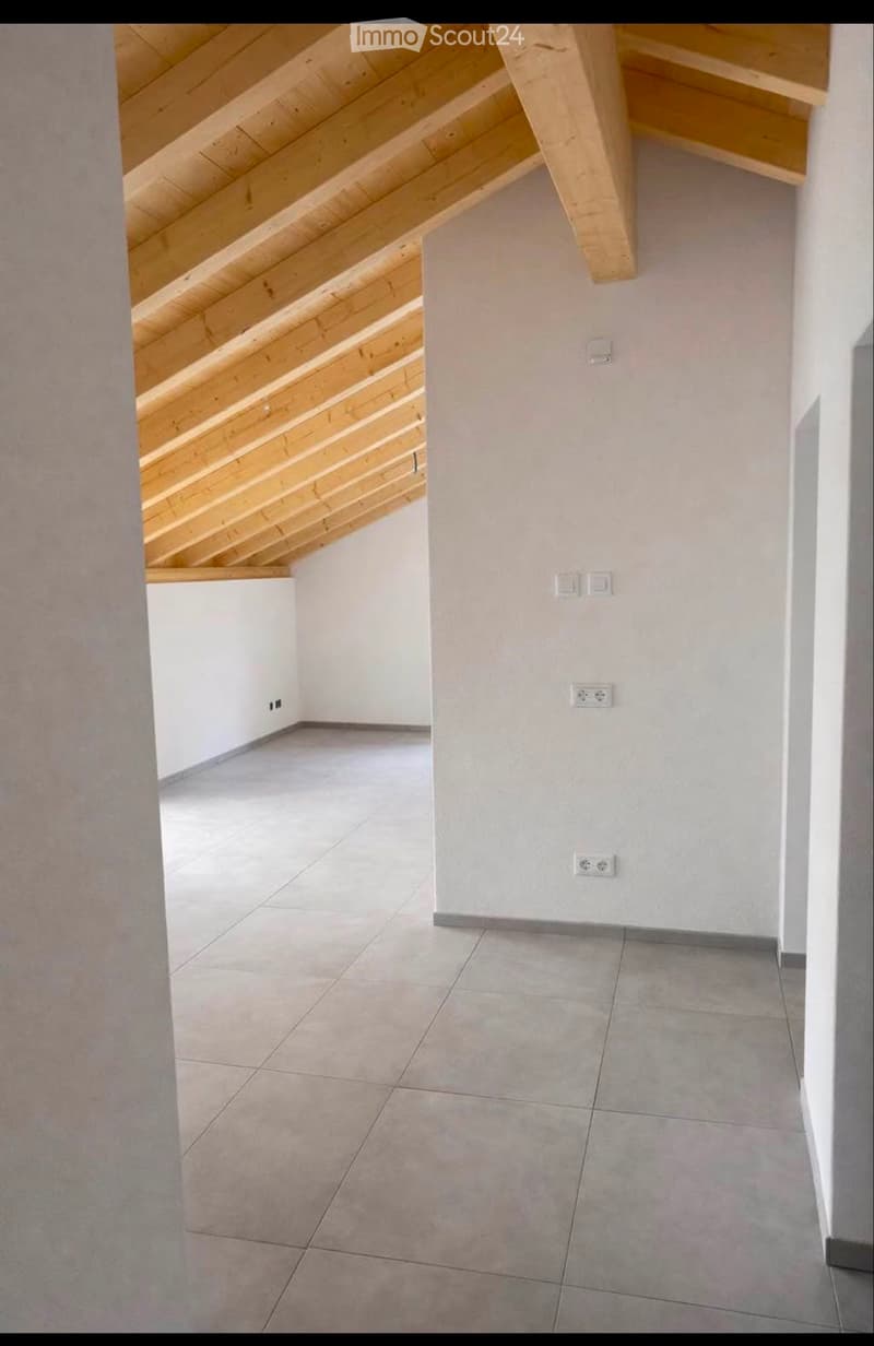 Affitto appartamento 3.5 locali (4)