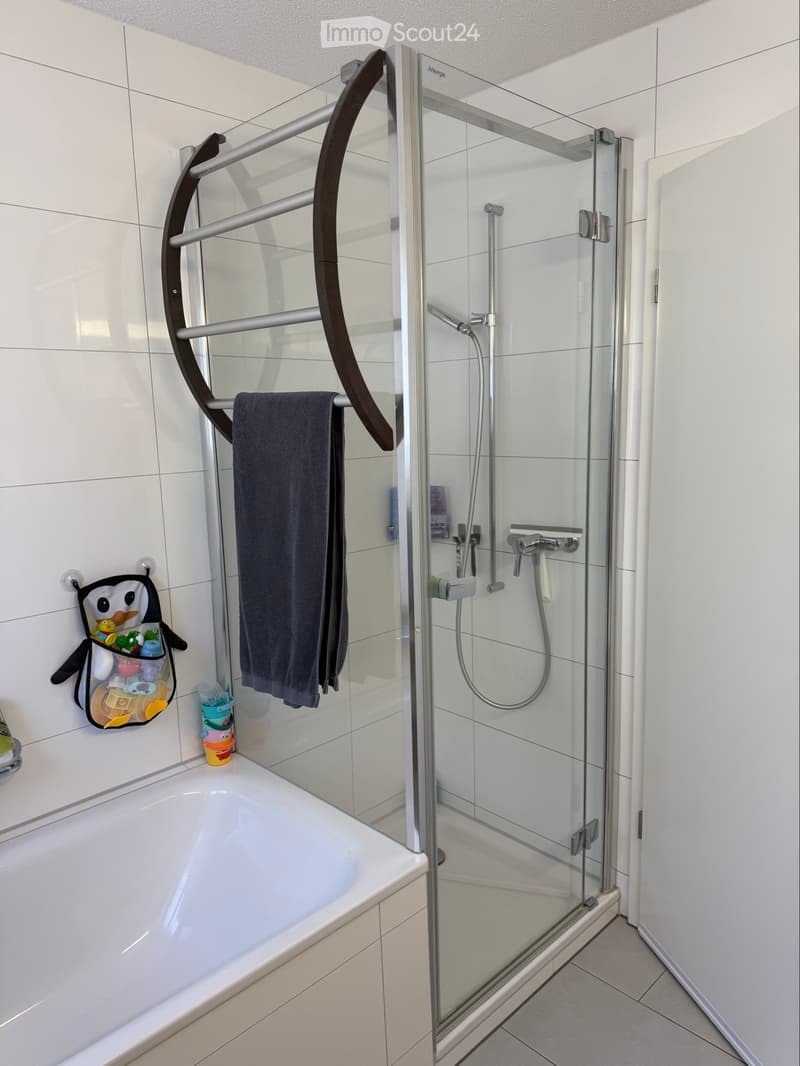 5.5-Zimmer-Doppeleinfamilienhaus in Wangen b. Olten (4)