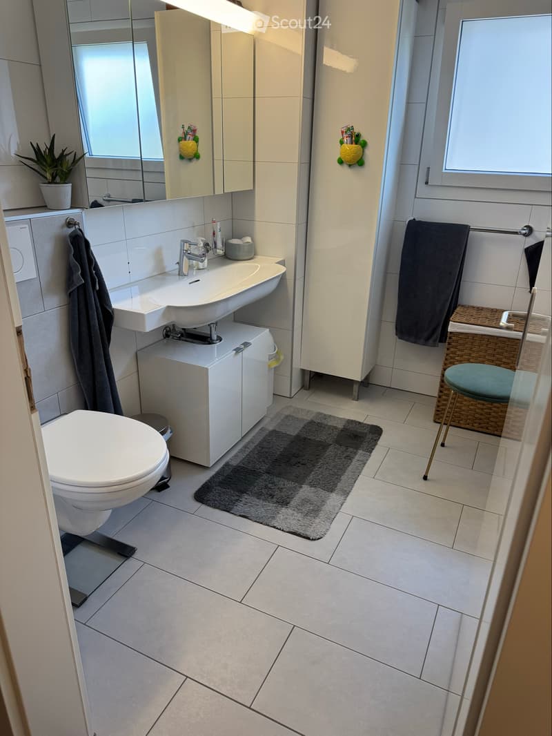 5.5-Zimmer-Doppeleinfamilienhaus in Wangen b. Olten (3)