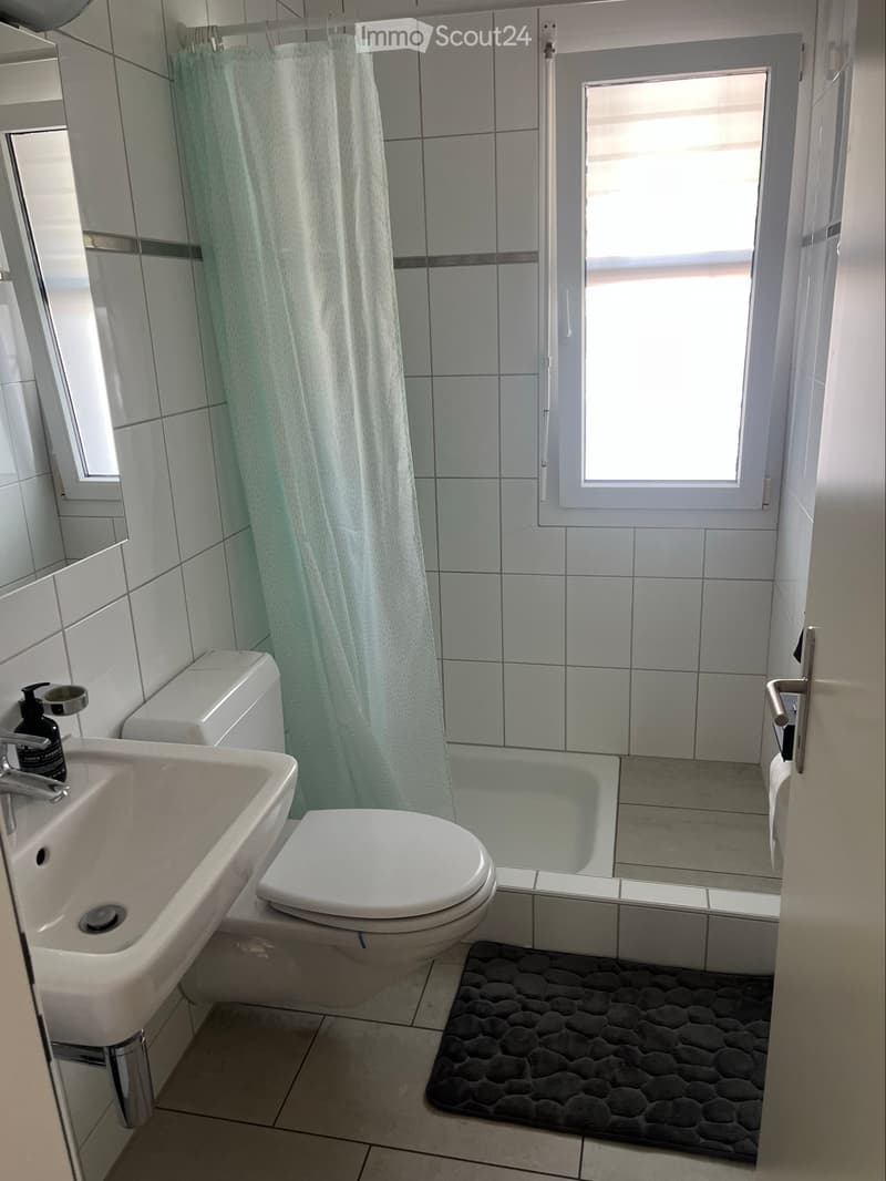5,5 Zimmer Wohnung Zofingen (5)