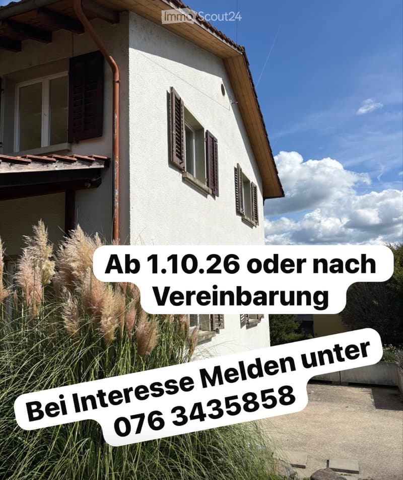 Zu vermieten in Strengelbach AG (2)