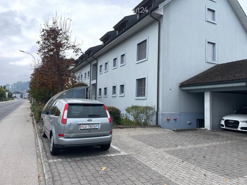 Grosszügige 3.5 Zimmer-Wohnung mit Blick in Grüne (1)