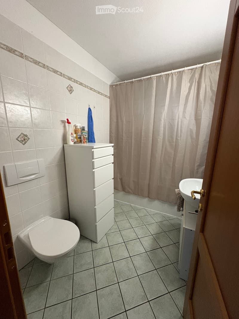 CERCO SUBENTRANTE 2.5 LOCALI AD ARTORE, BELLINZONA (5)