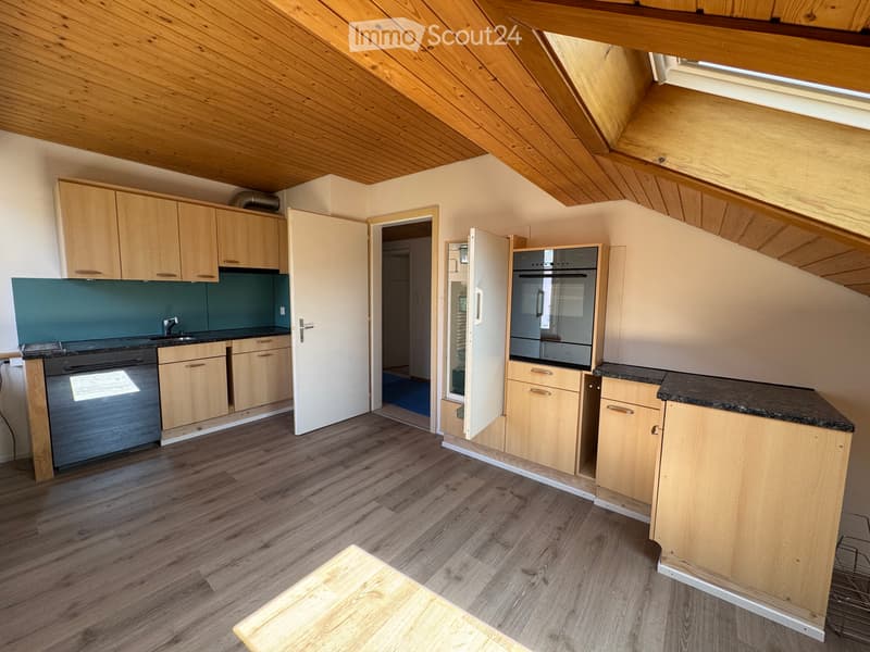 Frisch renovierte Dachwohnung (1)