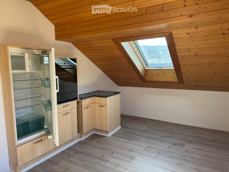 Frisch renovierte Dachwohnung (2)