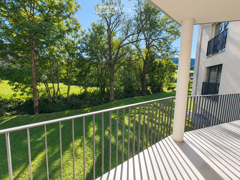 4.5-Zimmer-Minergie-Wohnung mit Balkon in Schönengrund (3)