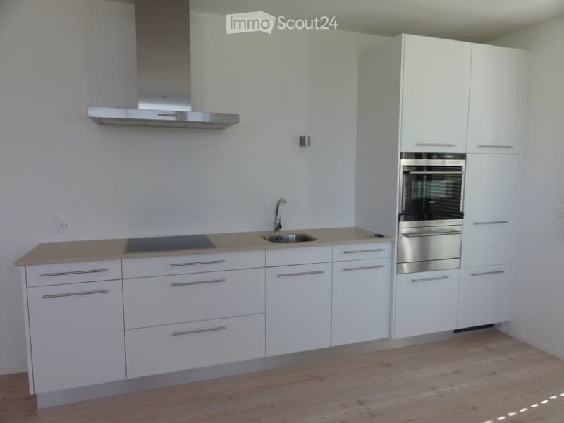 Vermiete schöne 2 Zimmer Wohnung (1)