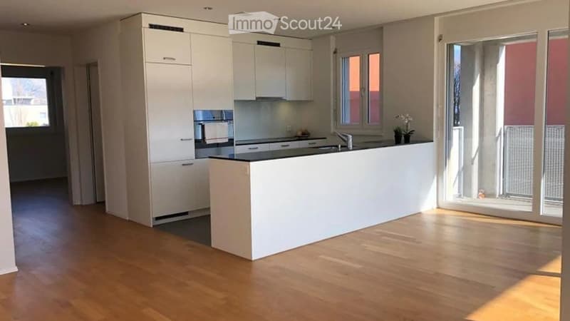 Moderne 4½ Zimmer Wohnung mit viel Wohnkomfort in Widnau (2)
