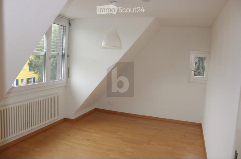 Grosszügiges 8-Zi.-Einfamilienhaus mit Einliegerwohnung (3)