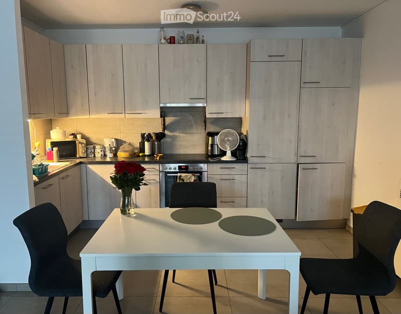 Appartamento 2 piano con terrazzo - chiasso (3)