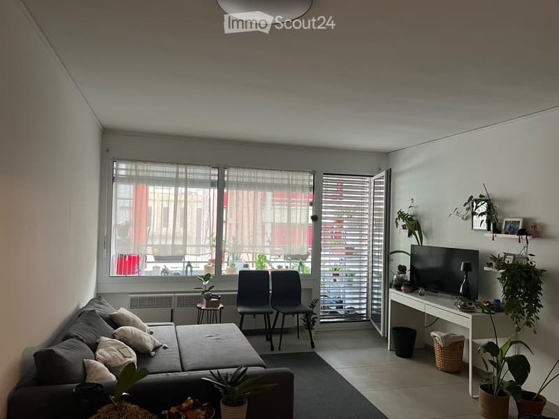 Appartamento 2 piano con terrazzo - chiasso (1)